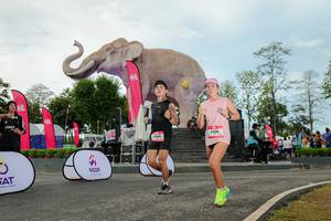 BIB: 
                            <button type="button" onclick="openModal(26529040)" class="btn btn-primary btn-sm float-right btn-popup" data-toggle="modal" data-target=".modal-high-quality">
                        <i class="fas fa-shopping-cart"></i> Add to Cart
                    </button>
                                            <button type="button" onclick="isThisMe(26529040, true)" class="btn btn-success btn-sm float-right btn-popup btn-isme hidden" data-toggle="tooltip" data-placement="bottom" title="นี่คือรูปของคุณใช่ไหม คลิกที่นี่เพื่อเอาเข้าอัลบั้ม">
                        <i class="fas fa-plus"></i> Add to album
                    </button>
                    <button type="button" onclick="isThisMe(26529040, false)" class="btn btn-warning btn-sm float-right btn-popup btn-isnotme hidden">
                        <i class="fas fa-ban"></i> Remove from album
                    </button>